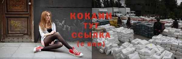 прущие крисы Беломорск