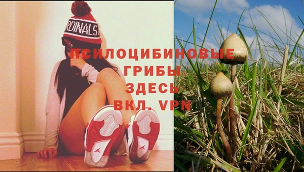 прущие крисы Беломорск