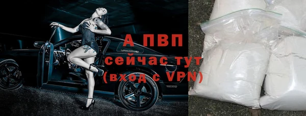 прущие крисы Беломорск