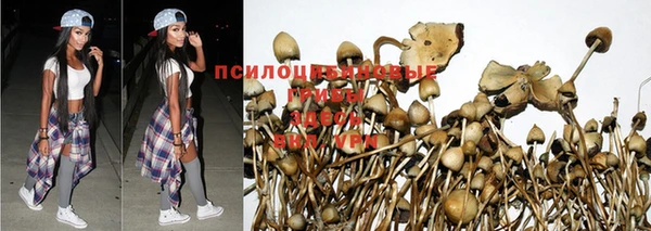 стафф Белокуриха