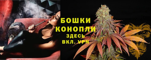 прущие крисы Беломорск