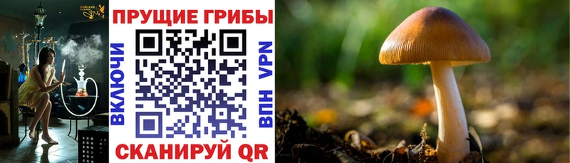 Псилоцибиновые грибы Magic Shrooms Кувандык