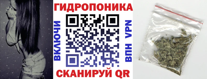 Конопля сатива  Кувандык 